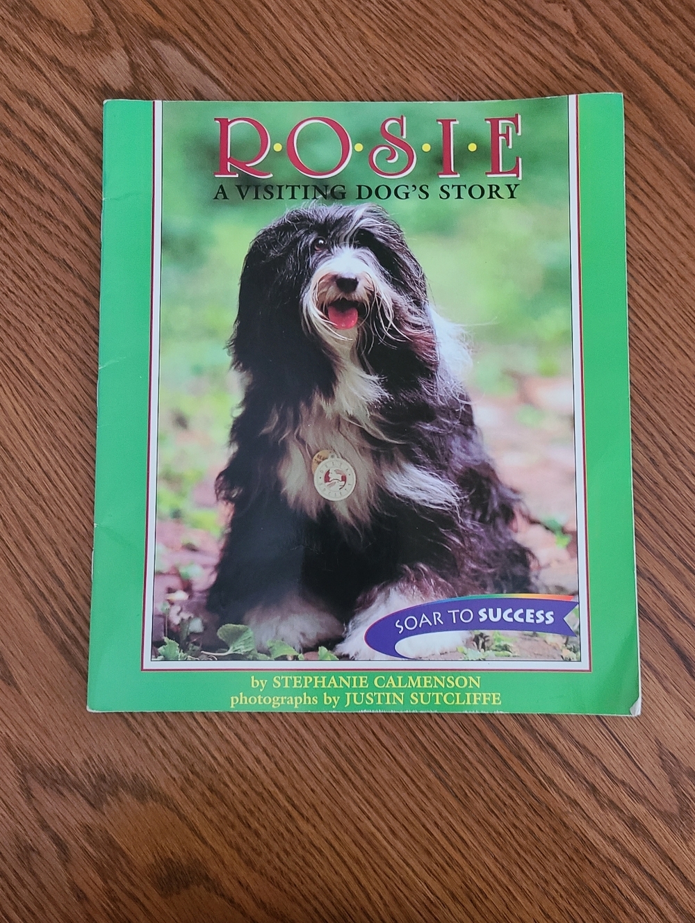 Rosie: A Visiting Dog's Story By Stephanie Calmenson